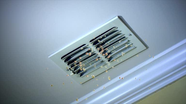Best Affordable Duct Cleaning Services  in Boston Heights, OH