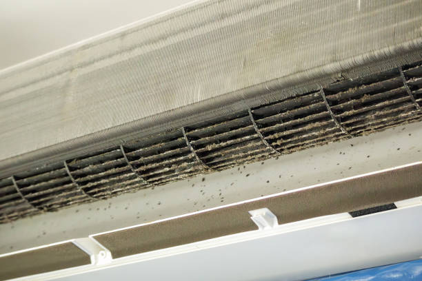 Best Affordable Duct Cleaning Services  in Boston Heights, OH